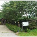 숲속의 섬 이미지