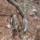 천정약수터 이미지