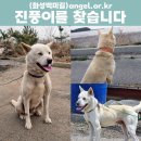 수컷 이미지