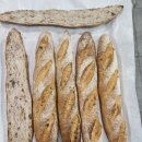 웰빙제과제빵 이미지