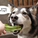 첫눈에 반하게 이미지
