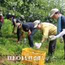 신흥3농장 이미지