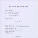 비디엘브이