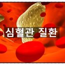 무브먼트 피트니스 이미지