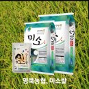 영북농협주유소 이미지