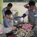 한솔초교 이미지