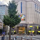 [부산]-점심먹으러 간 커넥트현대 간단 방문후기(고디바베이커리, 카츠키친, 수수가든카페)