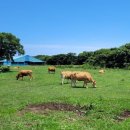 운영목장 이미지