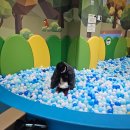 판암도서관 | 대전 어린이 장난감도서관 판암 키즈카페 위치 운영시간