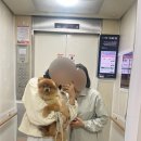 이에스팜 이미지