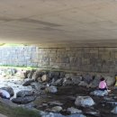 장군한방족발 이미지