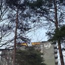 라카이샌드파인 | 강릉여행 가족숙소추천 강릉숙소 라카이샌드파인 숙박 후기