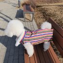 애견&만들기 이미지