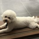 오늘 이 느낌 사진관