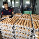 박승주농장 이미지