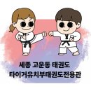 타이거 유치부 태권도 전용관 이미지