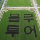 블루투어 이미지
