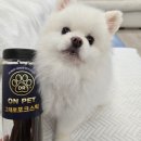 (주)닥터온 이미지