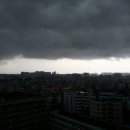 동관농장 이미지