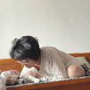 선베리 이미지