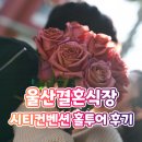 염포로 | 울산결혼식장 살펴본 후기! #시티컨벤션 (라움포레/그린나래/예그리나/수피아)