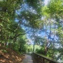 수원-0830 네이버블로그