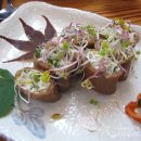 꿀참나무 이미지