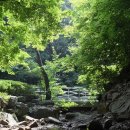 서울대공원 캠핑장 이미지
