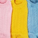 댕댕이,봄 이미지