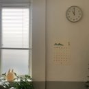 신라요양병원 | 202501/1월 일상