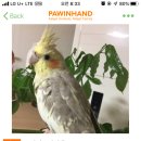 방학동도깨비시장 이미지