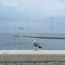 봄바스 민박 이미지