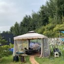 성주 독채펜션 &lt;stay 36.5c&gt; 단체 풀빌라 내돈내산 후기