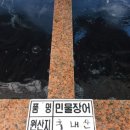 광장건강원