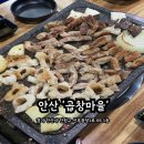 안산 곱창 맛집, 곱창마을에서 대창에 빠져버렸어요!(회돈회산)