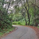 짚방석 내지마라＜한석봉 시조＞ 이미지