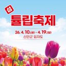 와우부산여행사