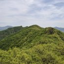 07월12일(제643차)강진 수인산 산행입니다. 이미지