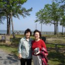 비치하우스 이미지