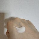 내돈내산, 온고리즘 엑소좀 톤업크림 후기, 온고리즘 파이토신