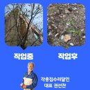 반송동113 이미지