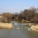 장흥 5리 이미지