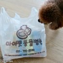 미사마이펫동물병원 이미지