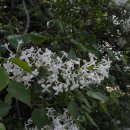 우금촌두암고택 이미지