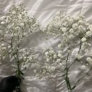 두대농장 이미지