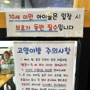 구래동에 있는 김포 고양이 카페 데이트 후기 &lt;미어캣인더시티&gt;