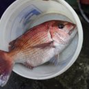 조천올레펜션 이미지