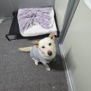 품바공연이 생각나더라~ 이미지