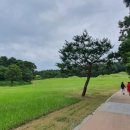 능산리고분군전시관 이미지