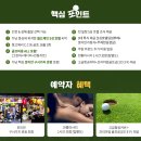 알파월드 이미지